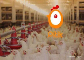 Pitik