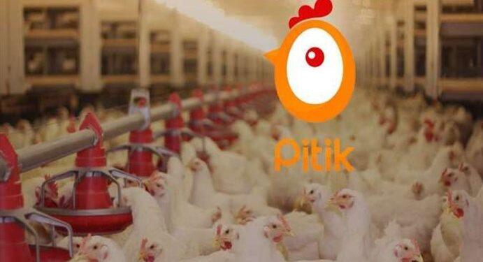 Pitik