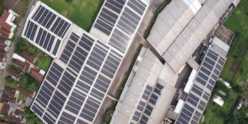 Cleo - Net Zero Emission