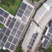 Cleo - Net Zero Emission