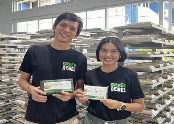 Green Rebel Food