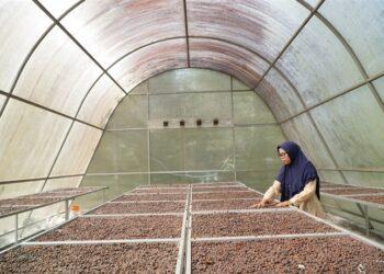 biogas dan Solar Dryer House