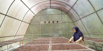biogas dan Solar Dryer House