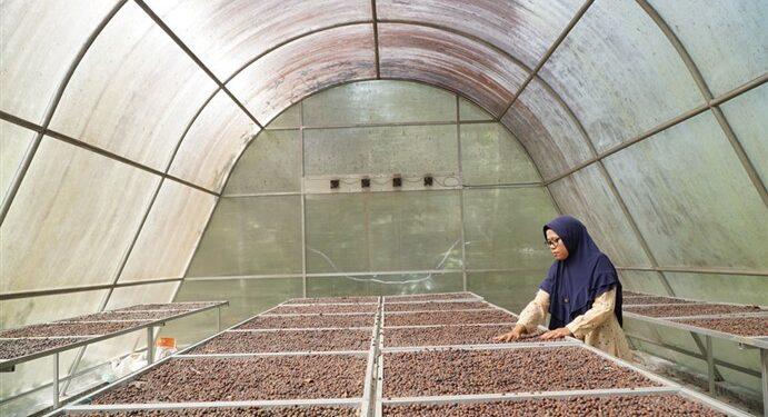 biogas dan Solar Dryer House