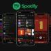 Spotify kontrol video