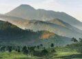 Agoda pencarian hotel di Puncak