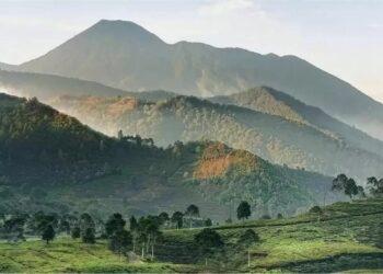 Agoda pencarian hotel di Puncak
