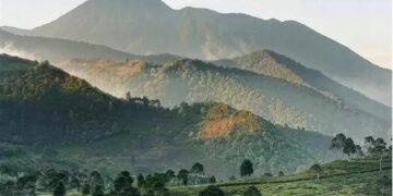Agoda pencarian hotel di Puncak