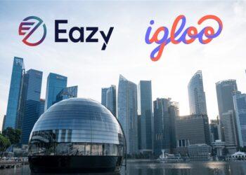 Igloo x Eazy Digital