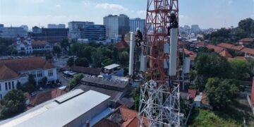 kinerja keuangan XLSMART