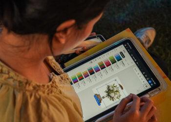 Adobe Create and Earn