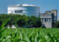 Cimegra BASF bawang merah