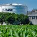 Cimegra BASF bawang merah