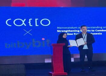 Cacco x bitbybit Studio