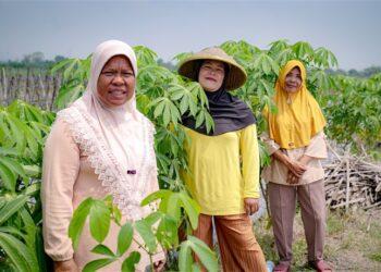 Pembiayaan perempuan petani Amartha