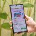 Momami BeliLokal Brand Day Tokopedia TikTok Shop