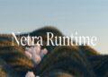 Init-6 Netra Runtime infrastruktur inferensi AI