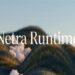 Init-6 Netra Runtime infrastruktur inferensi AI