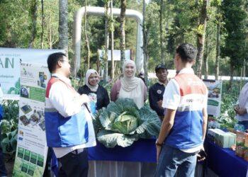 Inovasi GeO-Fert PGE Kamojang