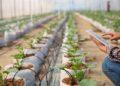 smart farming UPH