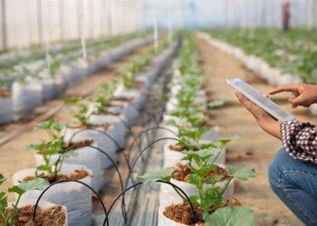 smart farming UPH