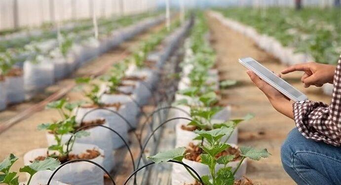 smart farming UPH
